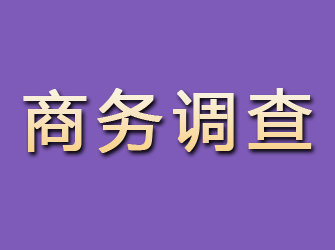 禄劝商务调查